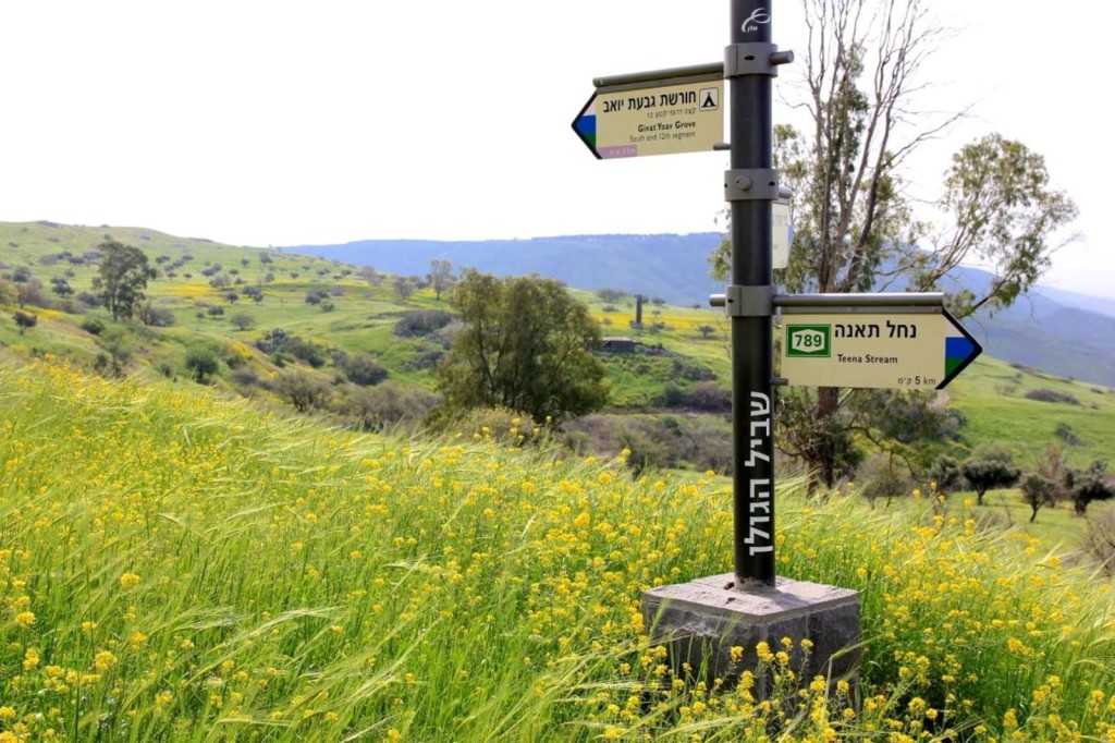 Golan Trail 2