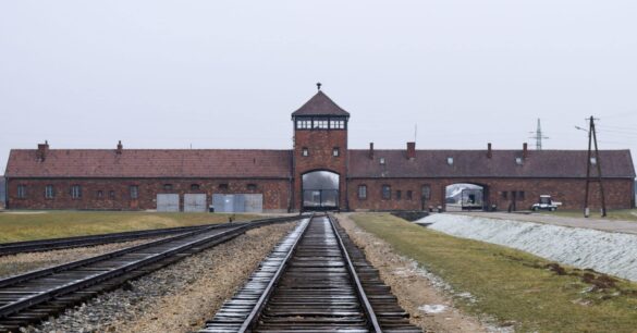 Half of Holocaust Survivors in Israel Struggle Financially