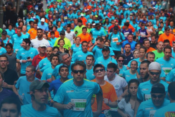 Maimonides | Touchpoint Israel